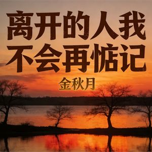 离开的人我不会再惦记