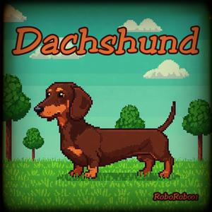 Dachshund
