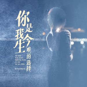 你是我今生唯一的选择