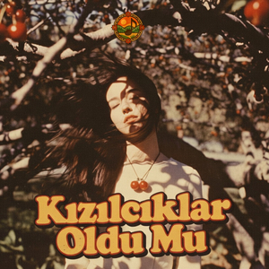 Kızılcıklar Oldu Mu?