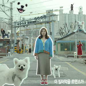 이 빌어먹을 로맨스가