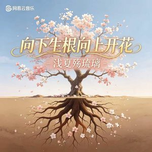 向下生根向上开花