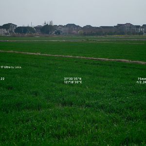 春天的火车往哪开