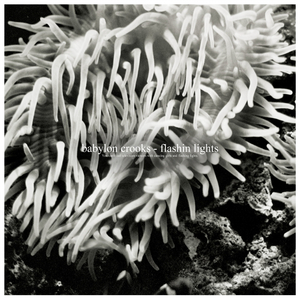 Flashin Lights (Original Mix)