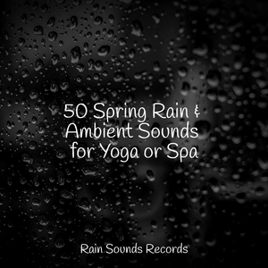 The Murky Melody of Croak Creek