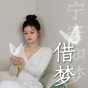 借梦（《宁安如梦》影视剧片尾曲）Cover