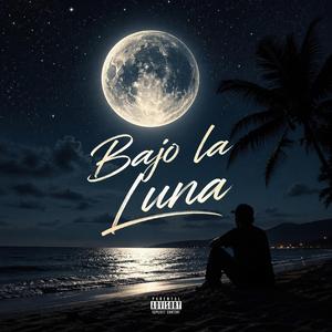 bajo la luna
