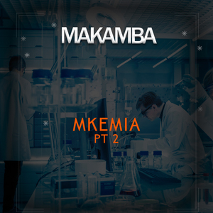 Mkemia Pt 2