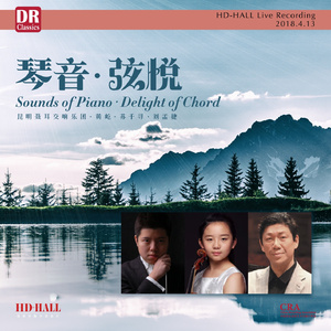 G大调第三小提琴协奏曲，K. 216 - 第一乐章：快板