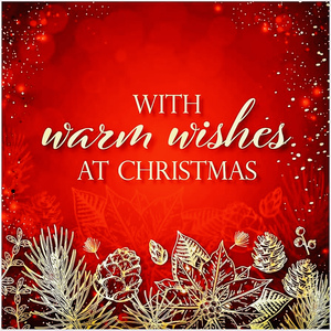 With Warm Wishes At Christmas