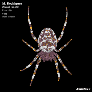 Beyond the Skin (Mark Wheels Remix)