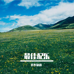 最佳配乐