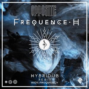 Wide Frequency (Frequence H) (Hybridub remix)