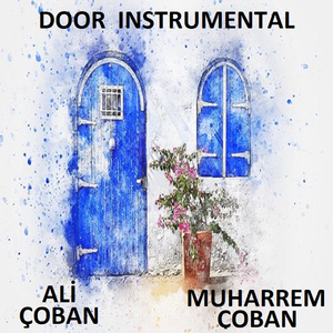 DOOR INSTRUMENTAL