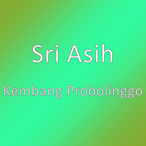 Kembang Probolinggo