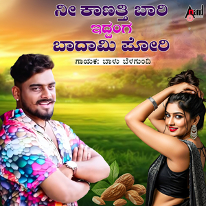 Nee Kaanati Baari Iddanga Badami Pori