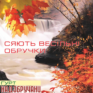 Сяють весільні обручки