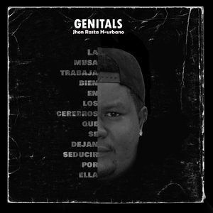 Genitals