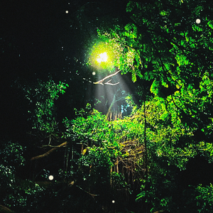 法电斜(Prod. Young Godzilla)