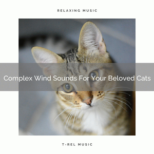 Give Pleasure To Your Stressed Cats With Peaceful Sounds