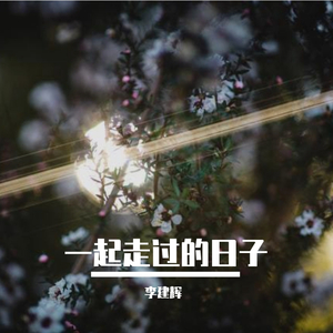 一起走过的日子