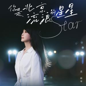 你是北京流浪的星星