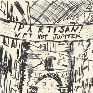 Partisan