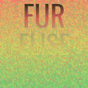 Night They Invented Champagne