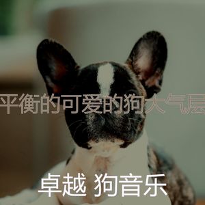微妙的训练你的狗心情
