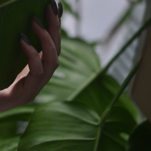 Harmonization of consciousness