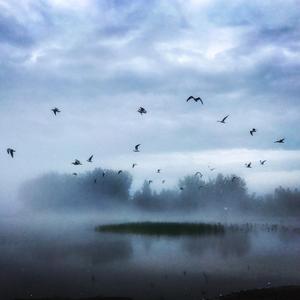 Nawathinna (feat. Dayan K)