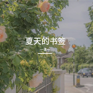 夏天的书签