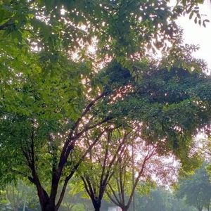 完美的烂尾（ProdEVOMUSIC）