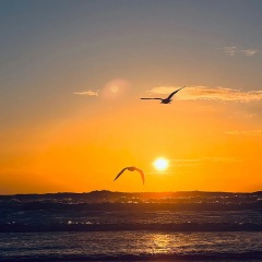 怎样走都是在向上 (Inst.)