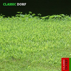 Tchaikovsky: The Seasons Op.37, No.6 'June' - Barcarolle