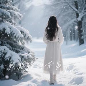 我期待的不是雪 (R&B版) (Cover 张妙格)
