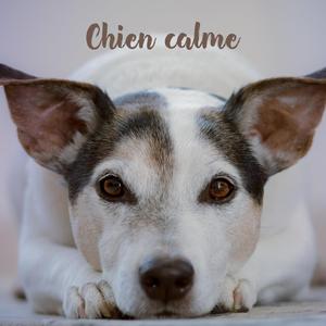 Chanson de chiot