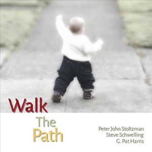 Footsteps in the Snow (feat. Steve Schwelling & G. Pat Harris)