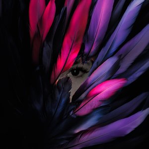 Energy over Evidence