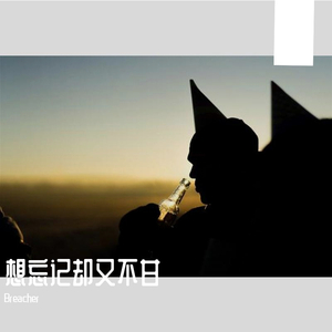 想忘记却又不甘