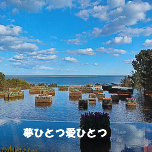 夢ひとつ愛ひとつ