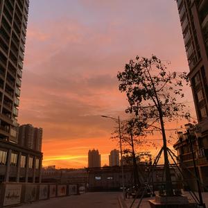 思觉失调（ cover 刘浩龙 ）