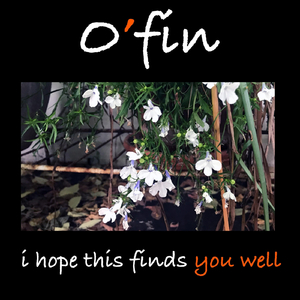 I Hope This Finds You Well