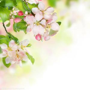 你不懂我我不怪你（翻自 踏雪）