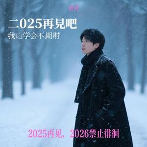 2025再见，2026禁止徘徊