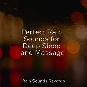 Rainfall Rhapsody in Saigon