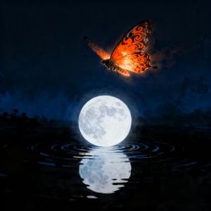 镜花水月梦一场