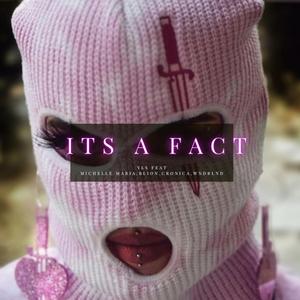 It's a Fact (feat. Michelle Maria, Blion, Cronica & Wndrlnd)