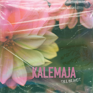 Kalemaja