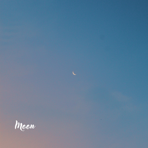 Moon N°4